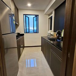 Normanton Park (D5), Apartment #577090821